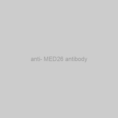 FN Test - anti- MED26 antibody
